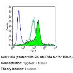 Phospho-CREB/ATF1 (Ser133, Ser63) Antibody in Flow Cytometry (Flow)