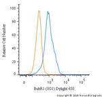 BUBR1 Antibody in Flow Cytometry (Flow)