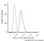 NQO1 Antibody in Flow Cytometry (Flow)