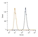 CUGBP1 Antibody in Flow Cytometry (Flow)