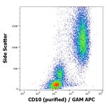 CD10 Antibody in Flow Cytometry (Flow)