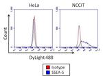 Mouse IgG1 Isotype Control in Flow Cytometry (Flow)