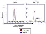 Mouse IgG1 Isotype Control in Flow Cytometry (Flow)