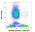 CD45RB Antibody in Flow Cytometry (Flow)