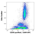 CD59 Antibody in Flow Cytometry (Flow)