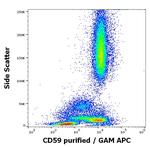 CD59 Antibody in Flow Cytometry (Flow)