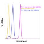 CD31 Antibody