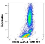 IGF2R Antibody in Flow Cytometry (Flow)