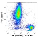 LAT Antibody in Flow Cytometry (Flow)