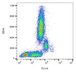 CD31 Antibody in Flow Cytometry (Flow)