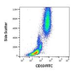 CD10 Antibody in Flow Cytometry (Flow)