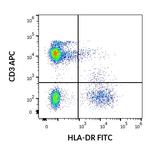 HLA-DR Antibody in Flow Cytometry (Flow)