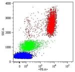 CD16 Antibody in Flow Cytometry (Flow)