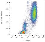 CD10 Antibody in Flow Cytometry (Flow)