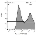 DR4 Antibody in Flow Cytometry (Flow)