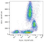 CD31 Antibody in Flow Cytometry (Flow)