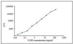 S100 Antibody in ELISA (ELISA)