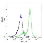 TLR4 Antibody in Flow Cytometry (Flow)