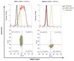 SSEA1 Antibody in Flow Cytometry (Flow)