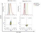 SSEA1 Antibody in Flow Cytometry (Flow)