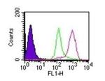 D4-GDI Antibody in Flow Cytometry (Flow)