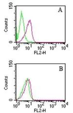 D4-GDI Antibody in Flow Cytometry (Flow)