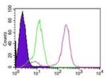 IKK gamma Antibody in Flow Cytometry (Flow)