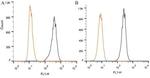 TRF1 Antibody in Flow Cytometry (Flow)