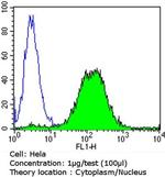 Glucocorticoid Receptor Antibody in Flow Cytometry (Flow)