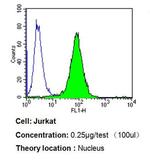 PPAR alpha Antibody in Flow Cytometry (Flow)