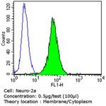 ErbB3 Antibody in Flow Cytometry (Flow)