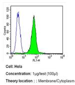 ErbB4 Antibody in Flow Cytometry (Flow)