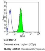 ErbB4 Antibody in Flow Cytometry (Flow)