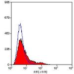 Transferrin Receptor Antibody in Flow Cytometry (Flow)