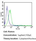 Bcl-3 Antibody in Flow Cytometry (Flow)