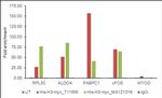 Myc Tag Antibody in ChIP Assay (ChIP)