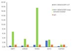 Estrogen Receptor alpha Antibody in ChIP Assay (ChIP)