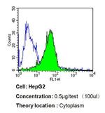 Endothelin 1 Antibody in Flow Cytometry (Flow)