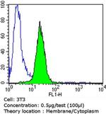 PDI Antibody in Flow Cytometry (Flow)