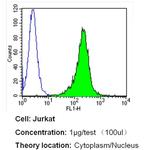 Importin beta-1 Antibody in Flow Cytometry (Flow)