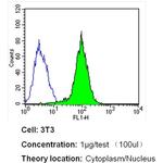 Importin beta-1 Antibody in Flow Cytometry (Flow)