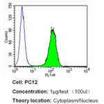 Importin beta-1 Antibody in Flow Cytometry (Flow)