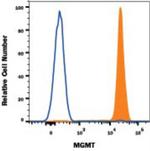 MGMT Antibody in Flow Cytometry (Flow)