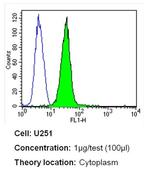 CaV1.1 Antibody in Flow Cytometry (Flow)