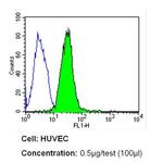 CD31 Antibody in Flow Cytometry (Flow)