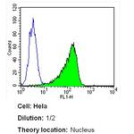 PCNA Antibody in Flow Cytometry (Flow)