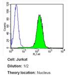 PCNA Antibody in Flow Cytometry (Flow)