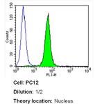 PCNA Antibody in Flow Cytometry (Flow)