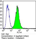 Bcl-2 Antibody in Flow Cytometry (Flow)