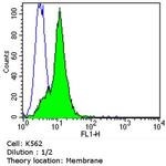 CD4 Antibody in Flow Cytometry (Flow)